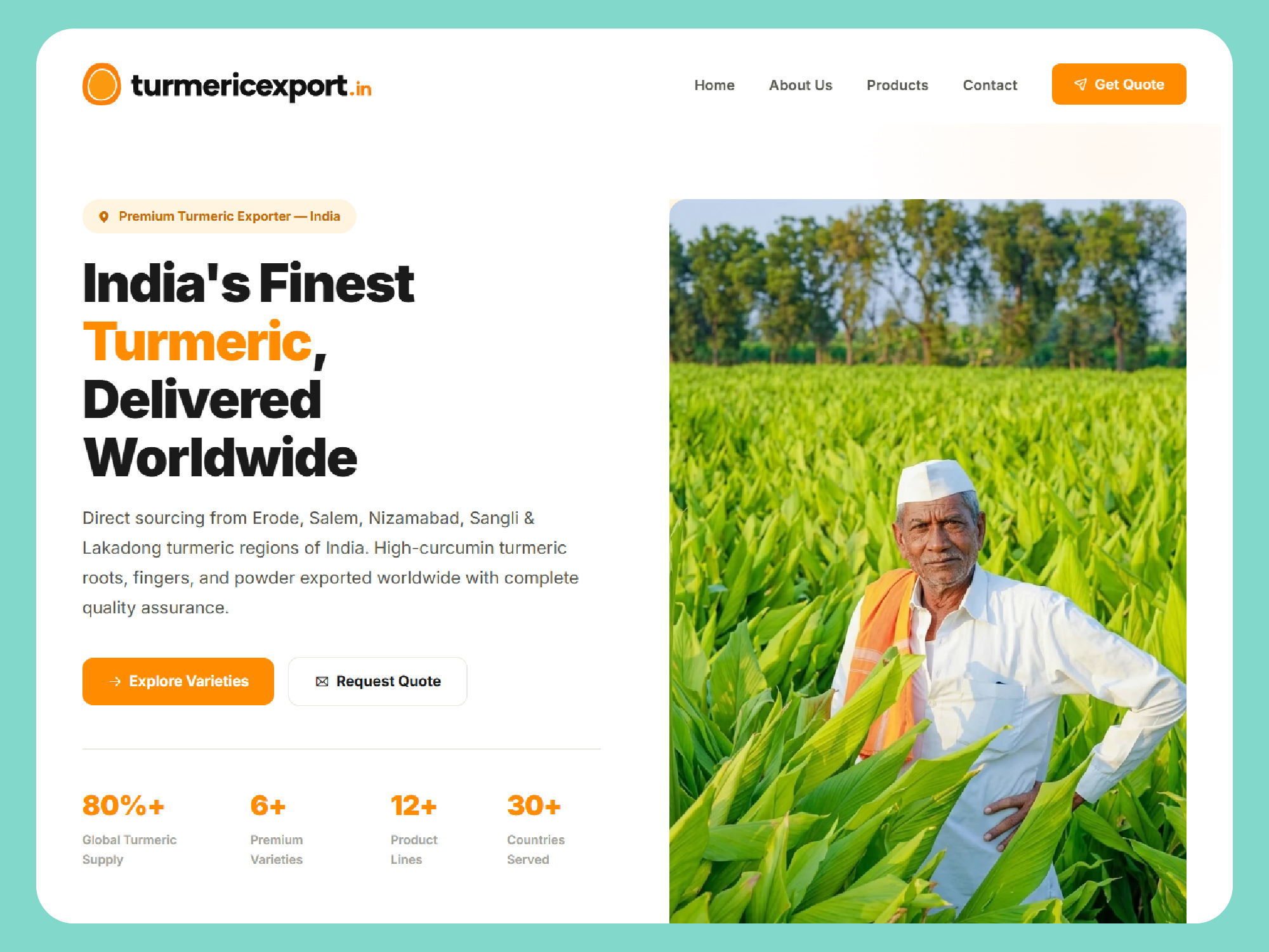Turmeric Export Website